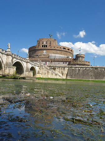 Tiber