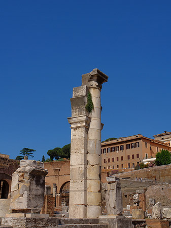 Foto Säulen im Forum Romanum - Rom