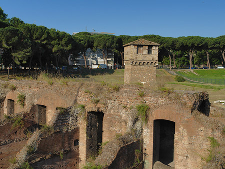 Ruine der ehemaligen Südtribüne