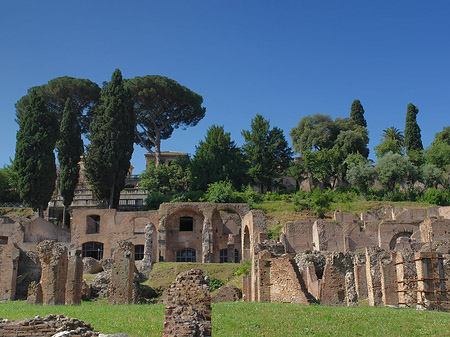 Forum Romanum Fotos