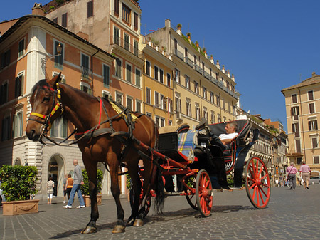 Pferdekutsche auf der Piazza die Spagna